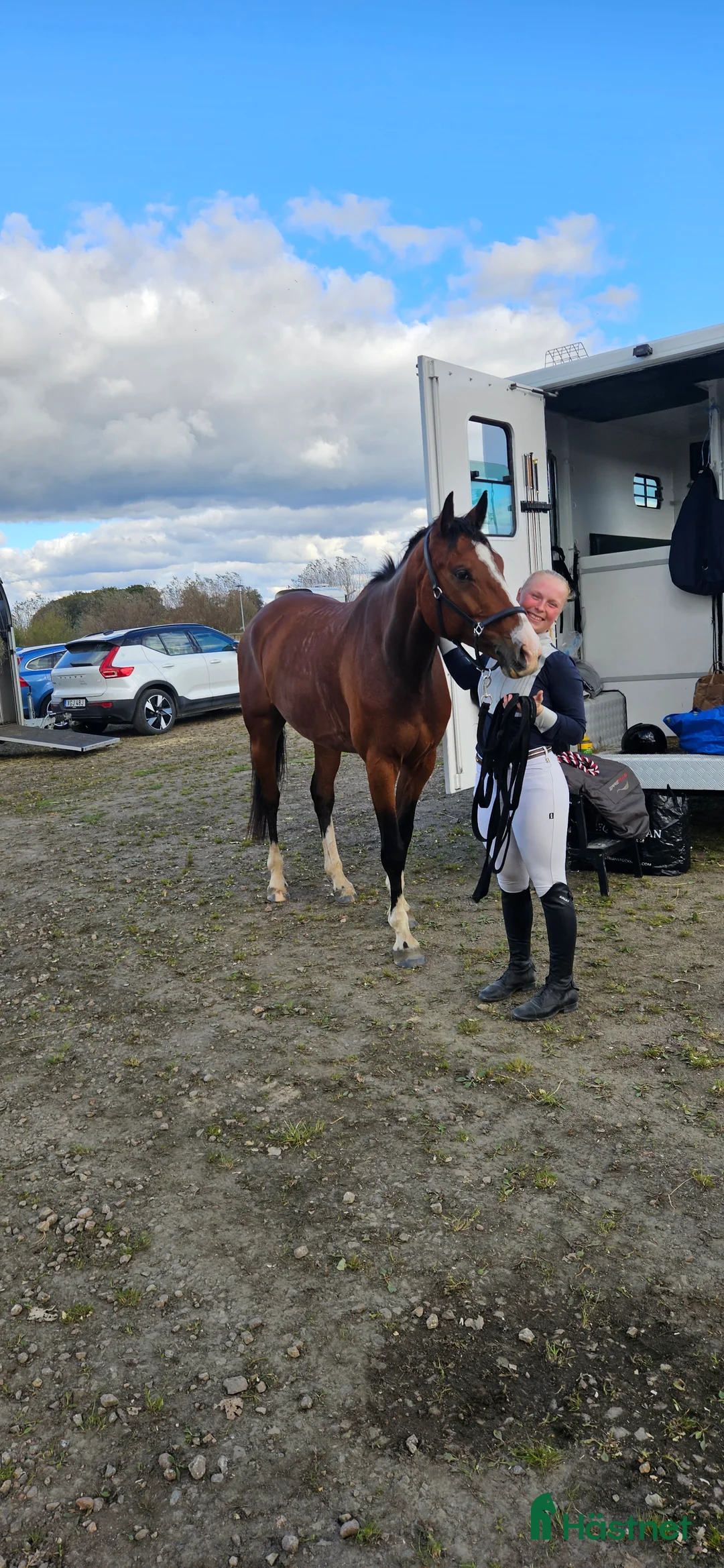 Hoppning hästar till salu: Fin hopphäst i Höllviken - Annons 3