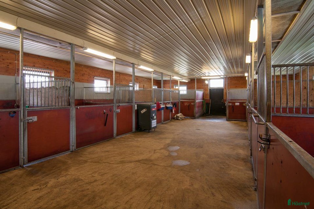  stallplats finnes: ✨ Lediga stallplatser i Karlskrona✨ i Lyckeby - Annons 1