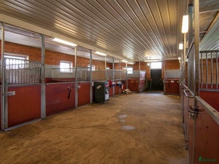 stallplats ✨ Lediga stallplatser i Karlskrona✨ i Lyckeby - Annons 4