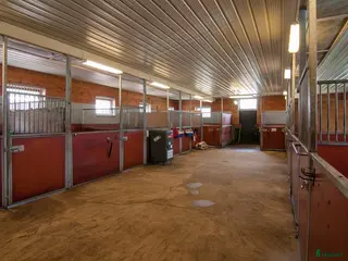 stallplats ✨ Lediga stallplatser i Karlskrona✨ i Lyckeby - Annons 17