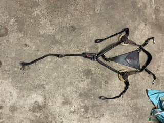 Övrig Hästutrustning hästutrustning till salu: Equipe 5 punkt förbygel i Höganäs - Annons 1