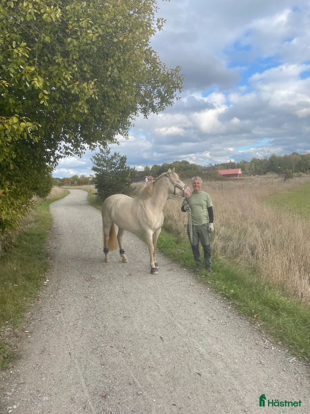 hästservice finnes: Sommarbete till sto sökes - Annons 1