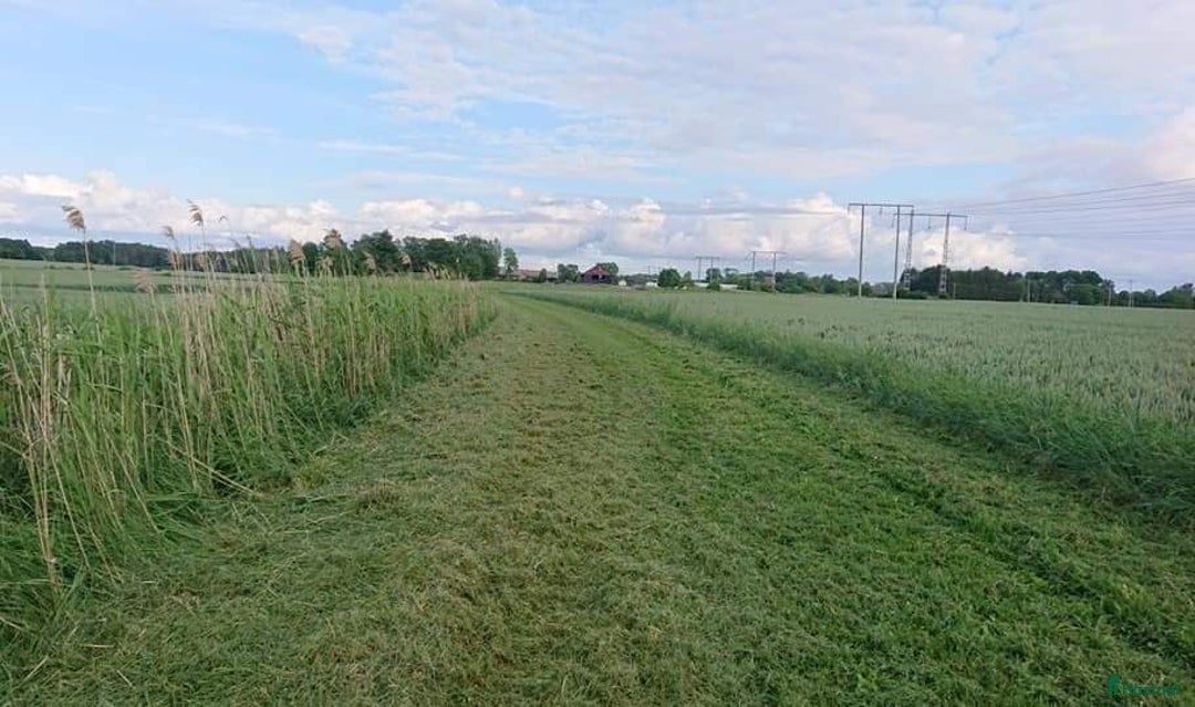  stallplats finnes: Kollektiv eller Service Adolfsbergs stallet i Bro - Annons 19