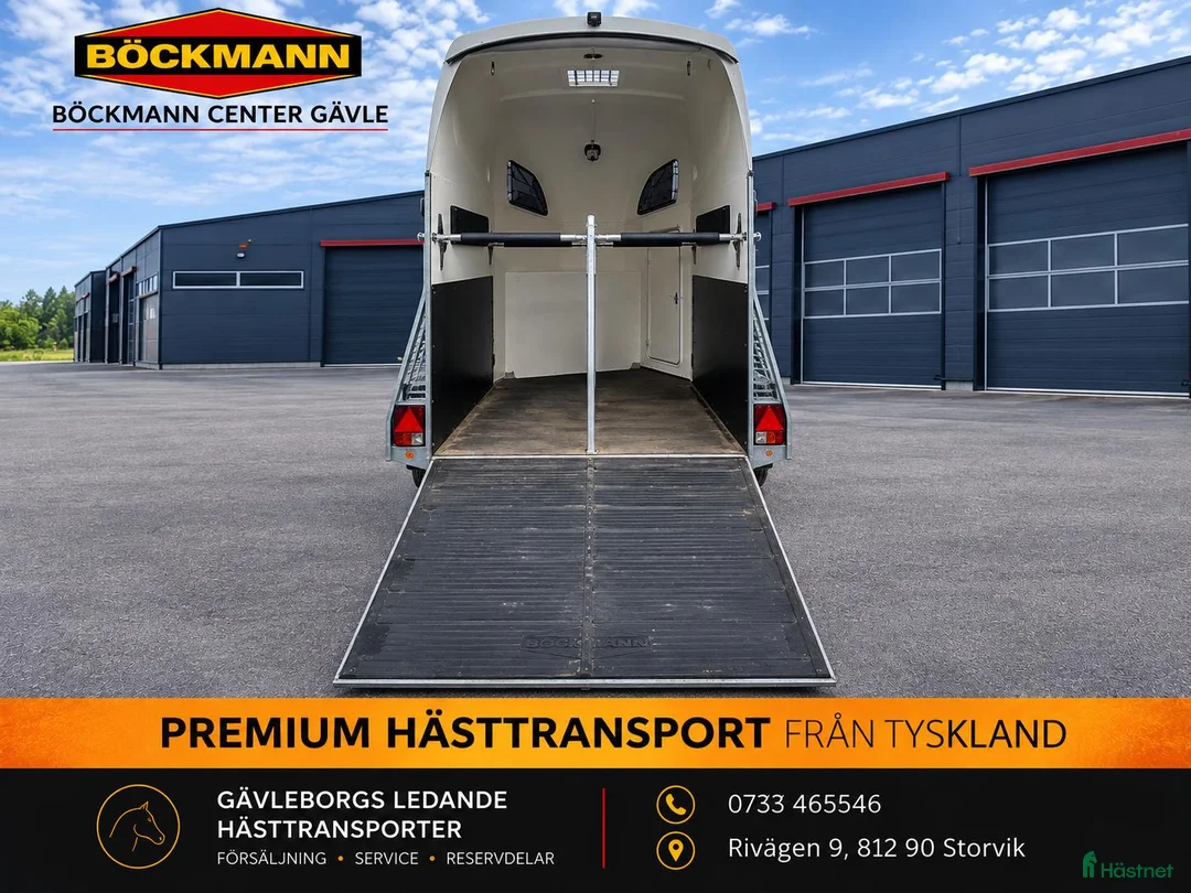 Hästtransporter  fordon & transport till salu: Böckmann Comfort 2017 – Extrautrustad |  - Annons 5