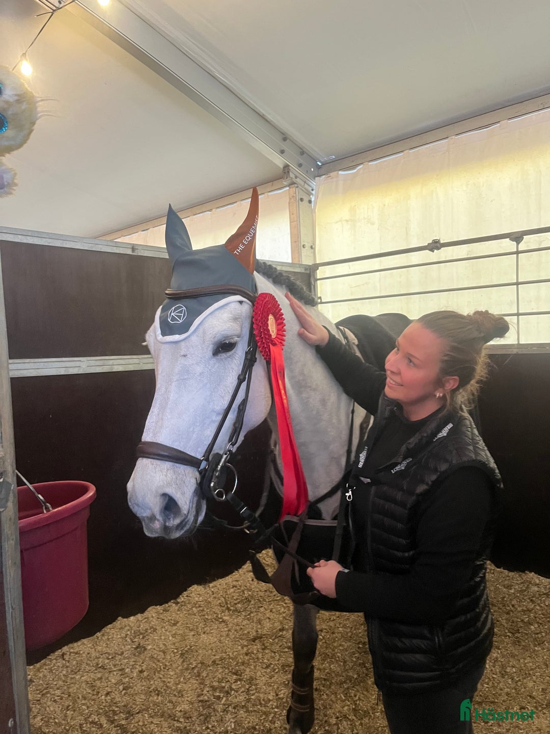  hästservice finnes: Söker du/ni en ny tränare?  - Annons 2