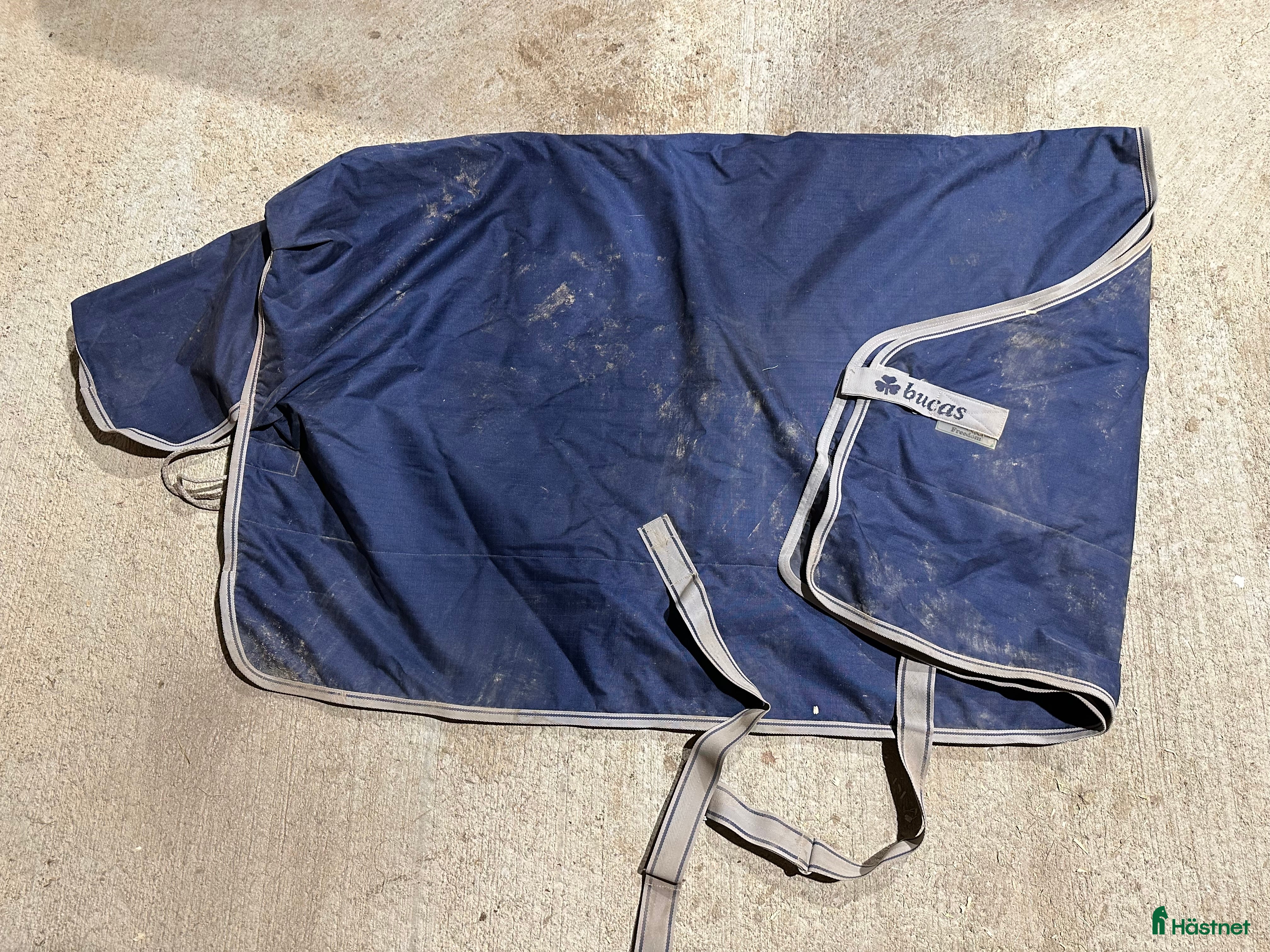 Täcken hästutrustning till salu: Bucas freedom i Borlänge - Annons 9