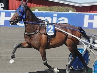 hästar Starthäst i Vänersborg - Annons 1