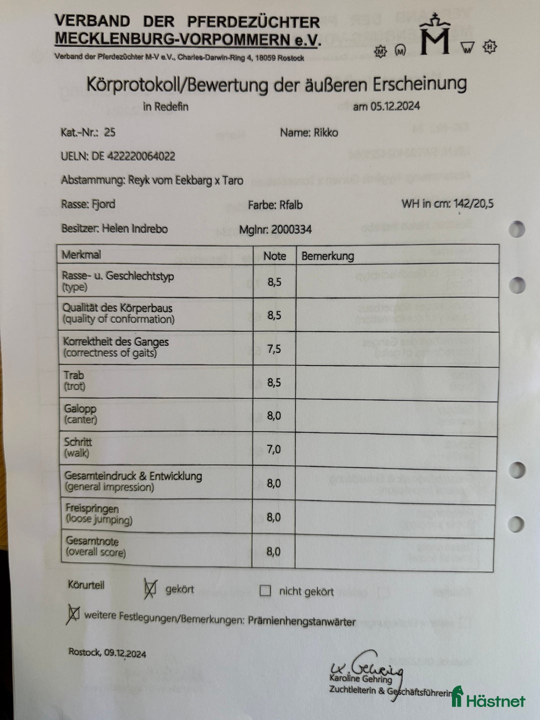 Allround hästar till salu: Unik 3 års hingst (kan bli valack) i Genarp - Annons 7