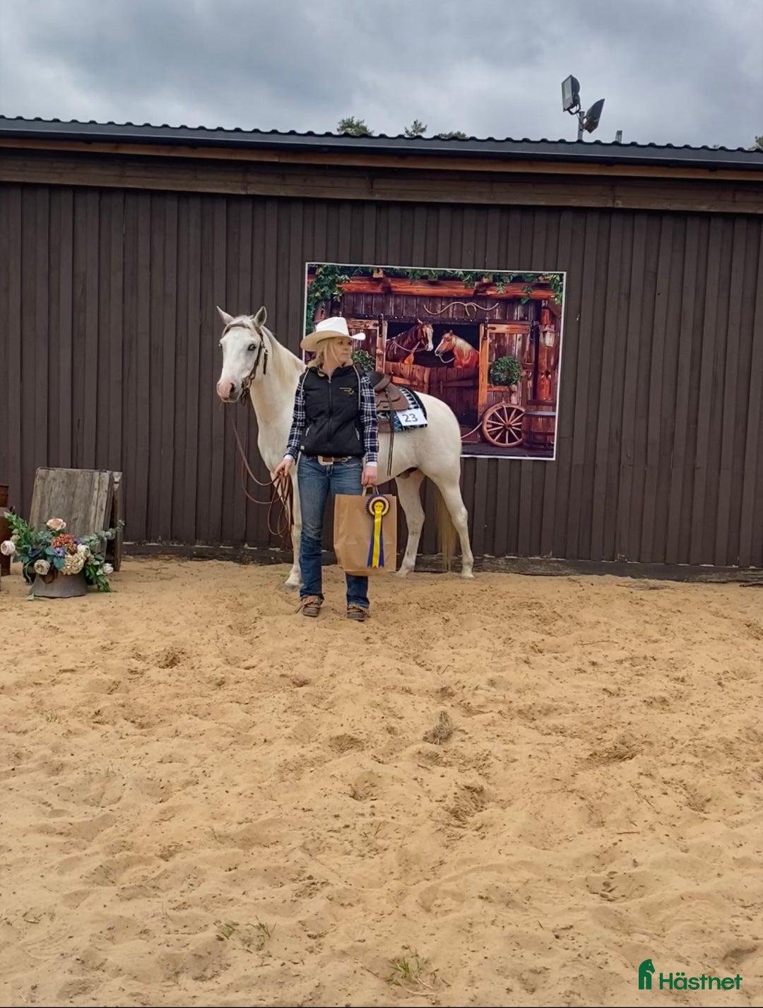 Western hästar till salu: Lovande tävlingshäst, nybesiktigad ua 18/10 i Broddetorp - Annons 3