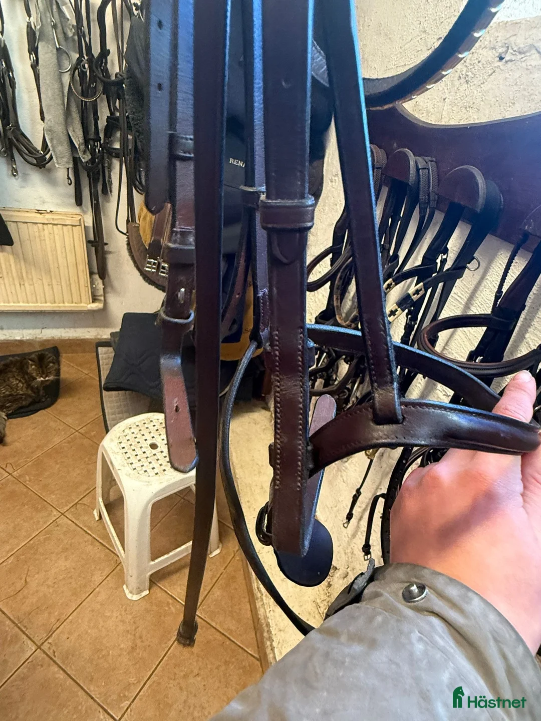 Träns hästutrustning till salu: Dyon träns  - Annons 4