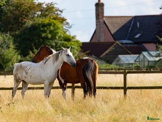 lägenhet till salu: Bostad sökes på/vid hästgård, säteri el liknande i Stockholm - Annons 10