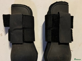 Övrig Hästutrustning hästutrustning till salu: Senskydd i Helsingborg - Annons 21