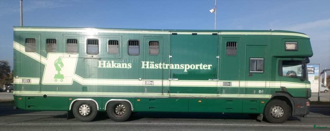 Hästlastbilar  fordon &amp; transport till salu: Scania med flexibel inredning  i Teckomatorp - Annons 16