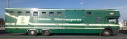 Hästlastbilar  fordon & transport till salu: Scania med flexibel inredning  i Teckomatorp - Annons 1