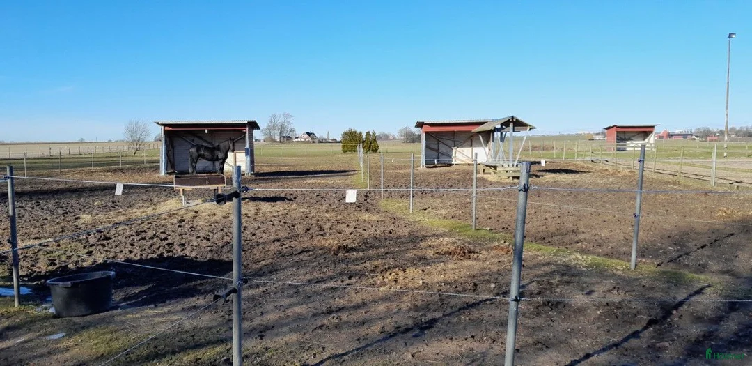  stallplats finnes: Stallplats - Annons 2