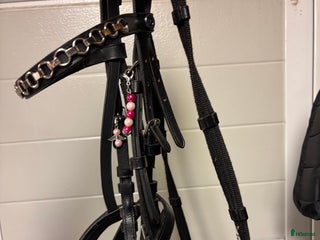 Träns hästutrustning till salu: Träns + mer😍✨ i Hammarö - Annons 2