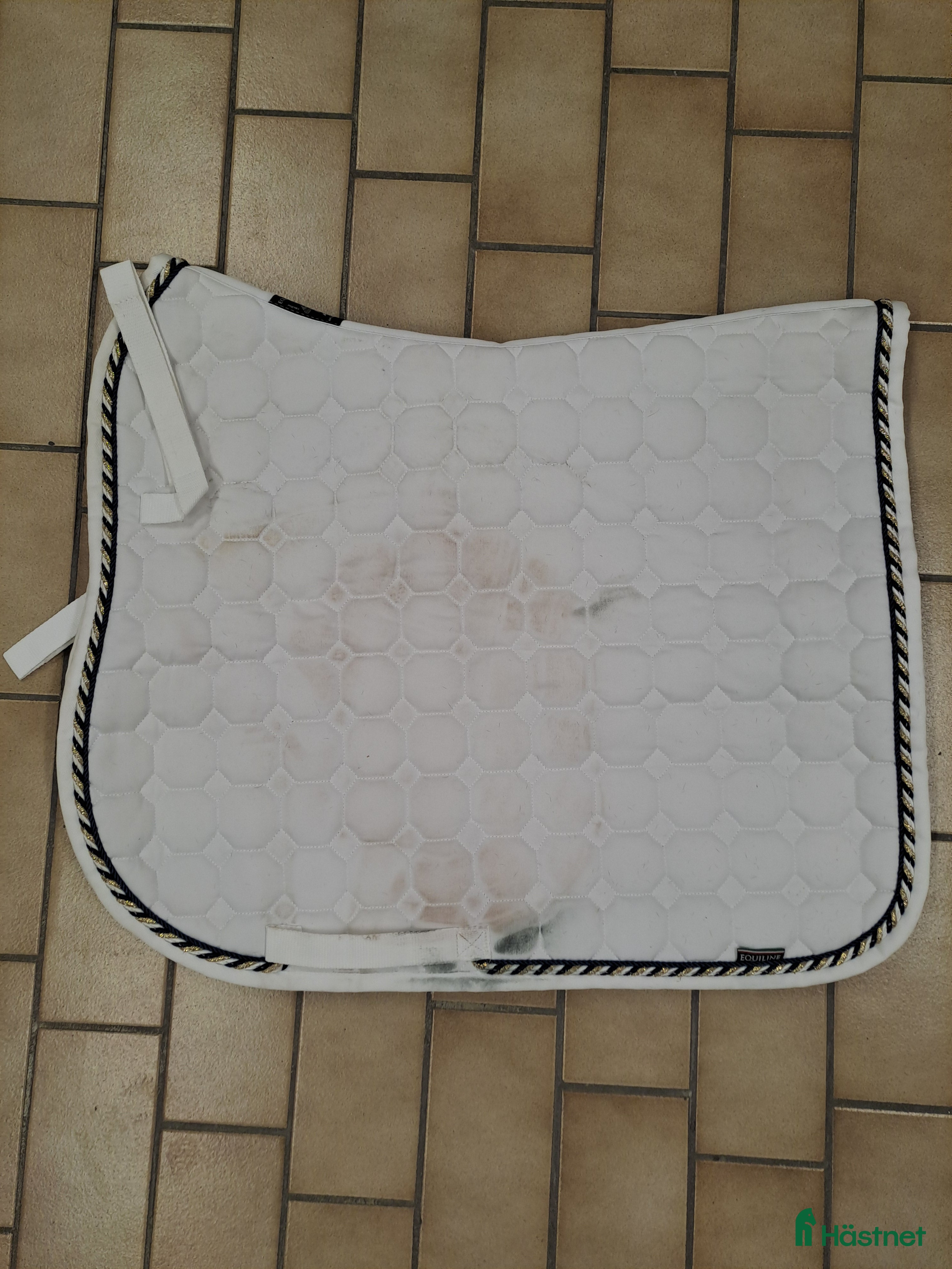 Schabrak & Vojlockar hästutrustning Octagon dressyr vitt  i Malmö - Annons 2