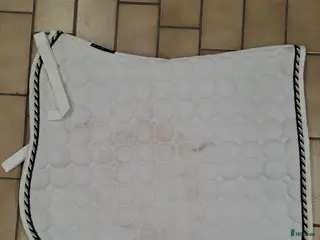 Schabrak & Vojlockar hästutrustning Octagon dressyr vitt i Malmö - Annons 2