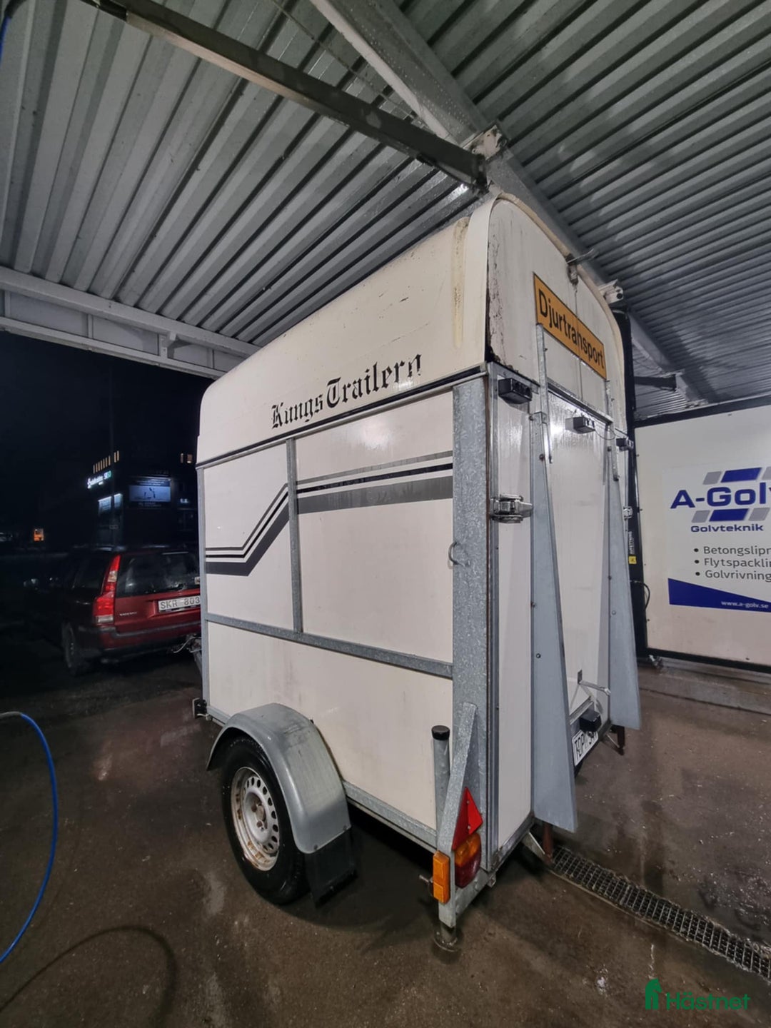 Hästtransporter  fordon & transport till salu: Hästtransport i Norrköping - Annons 1