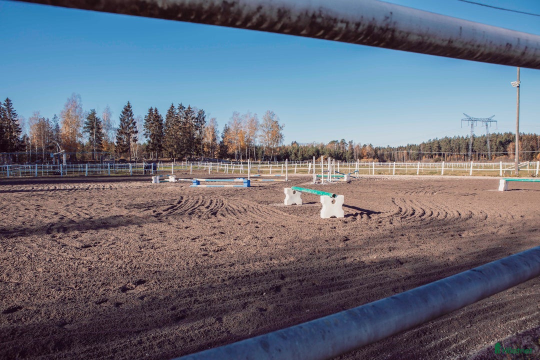  stallplats finnes: Boxplats m ridhus, två ridbanor och service Bålsta i Bålsta - Annons 6