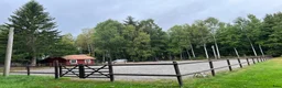  stallplats finnes: Ledig stallplats uthyres - Annons 4