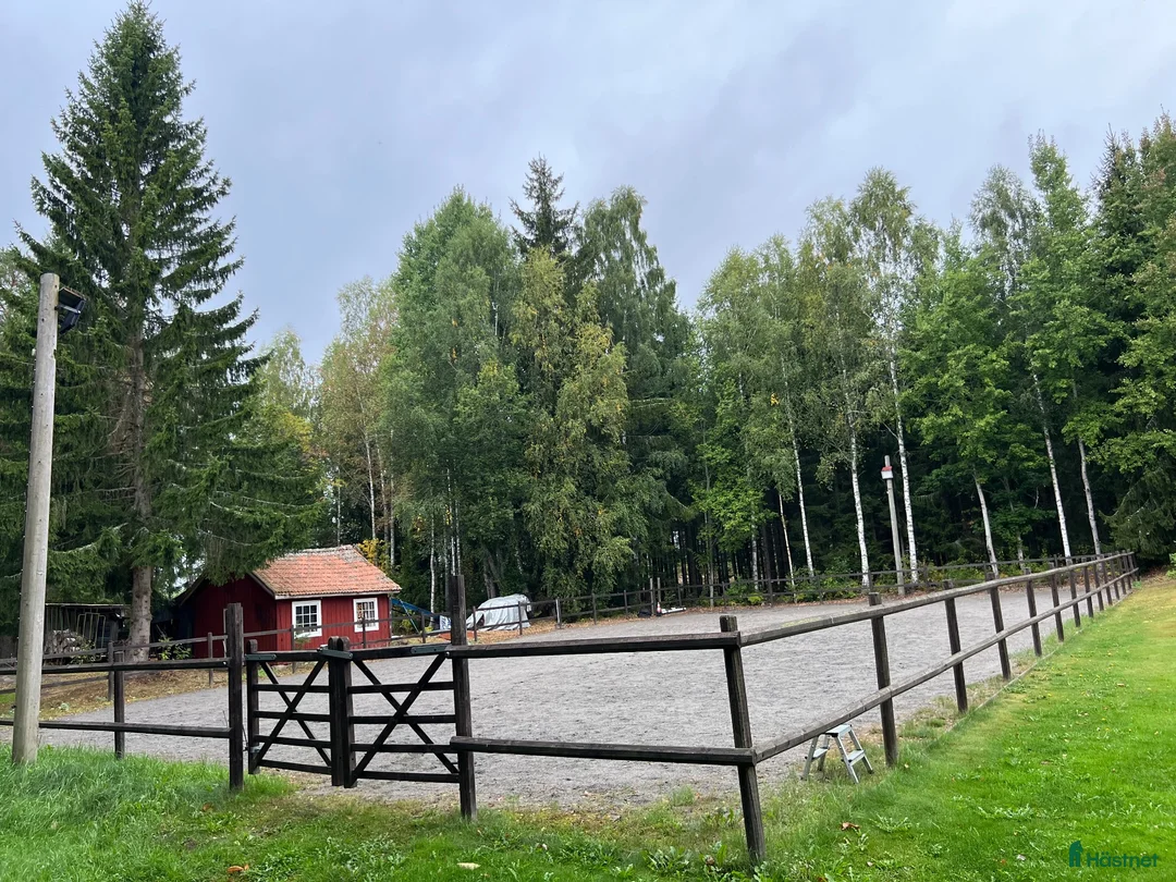  stallplats finnes: Ledig stallplats uthyres - Annons 4