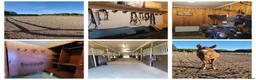  stallplats finnes: Stallängen 2 lediga platser - Annons 4