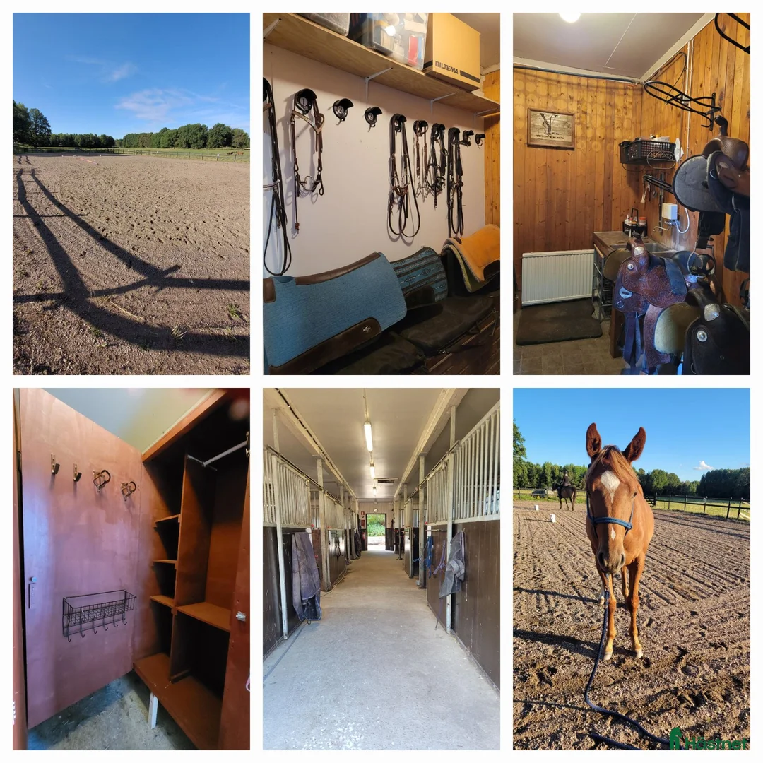  stallplats finnes: Stallängen 2 lediga platser - Annons 4