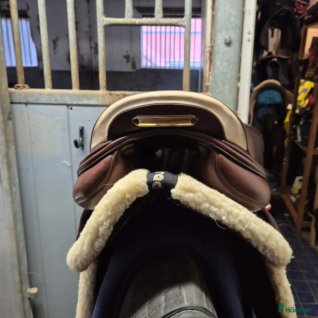 Sadlar hästutrustning till salu: Brun Prestige Arezzo  - Annons 2