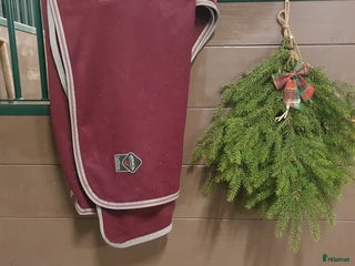 Täcken hästutrustning till salu: Lemieux Arika Jerseyfleece 135-140 i Tranås - Annons 3