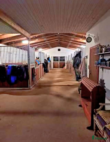 stallplats Stallplatser utanför Stehag i Stehag - Annons 16