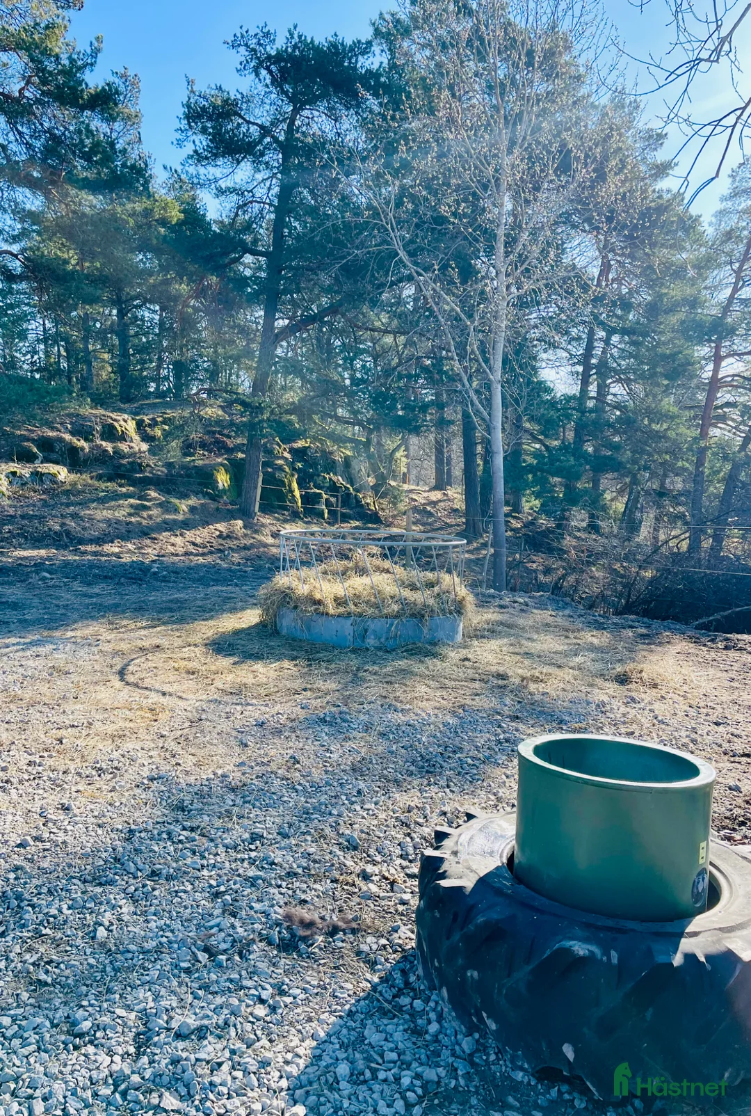  stallplats finnes: Långt sommarbete, lösdrift med fullservice - Annons 2