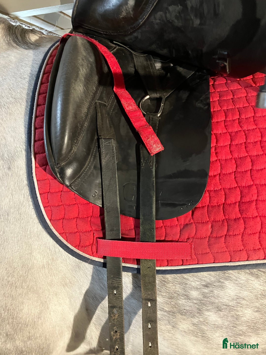 Sadlar hästutrustning till salu: Globus dressyr 32 / 17,5 i Skärplinge - Annons 3