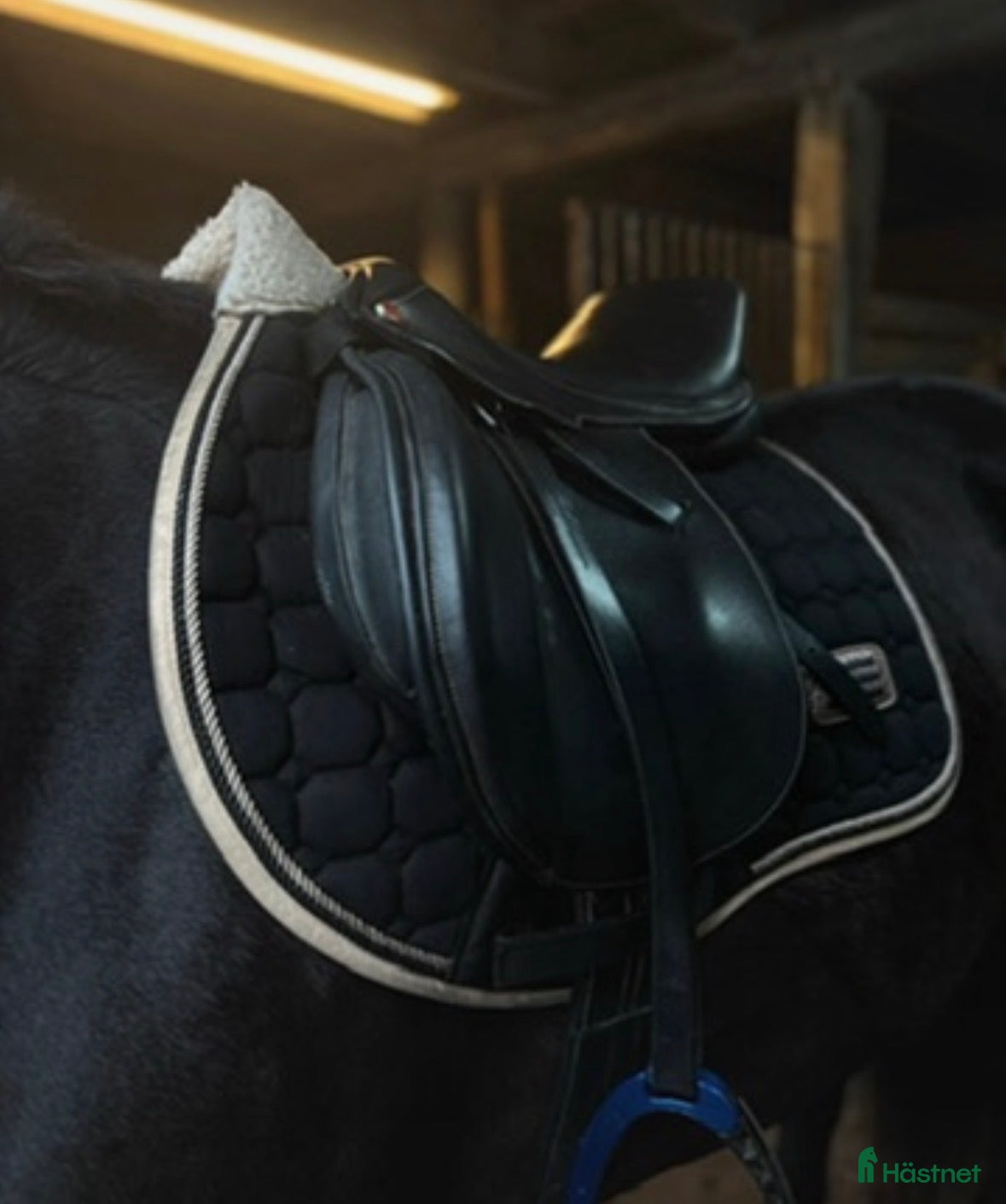 Sadlar hästutrustning Sadel - Annons 9