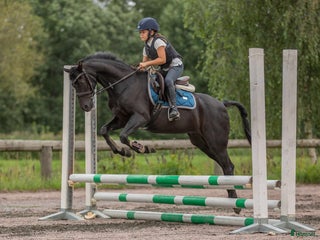 hästar i Mölndal - Annons 32