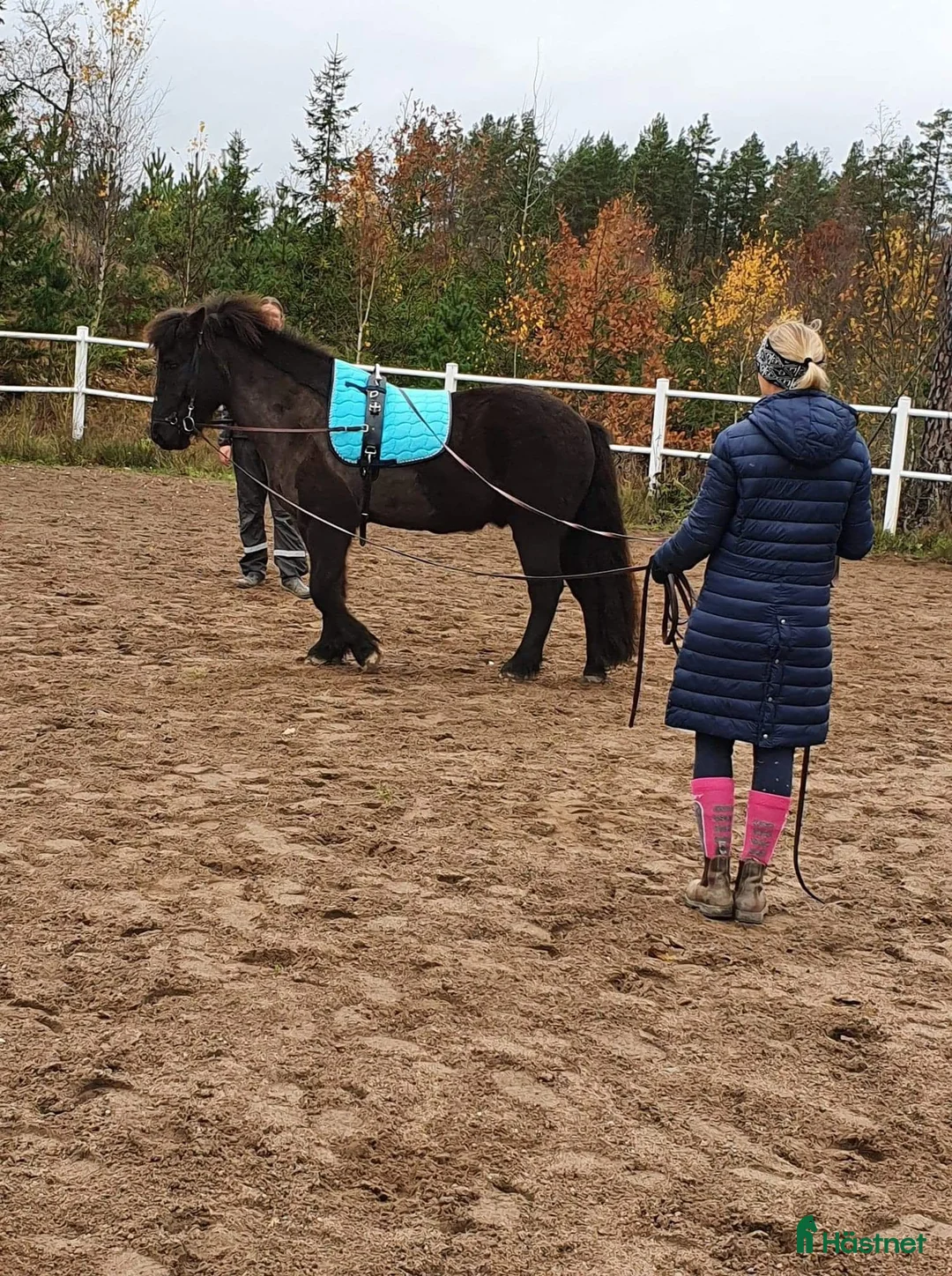  hästjobb finnes: Stalljobb sökes i Linköping  i Linköping - Annons 3
