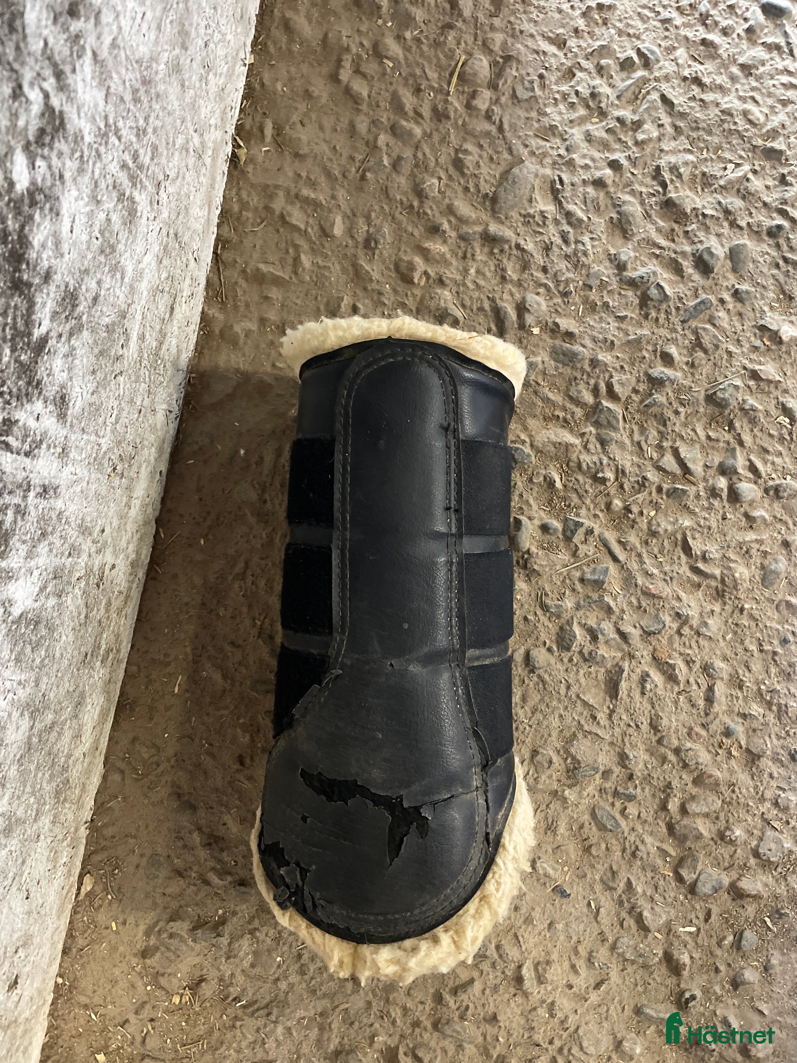 Benskydd hästutrustning till salu: Superfina damasker i Västerås - Annons 10