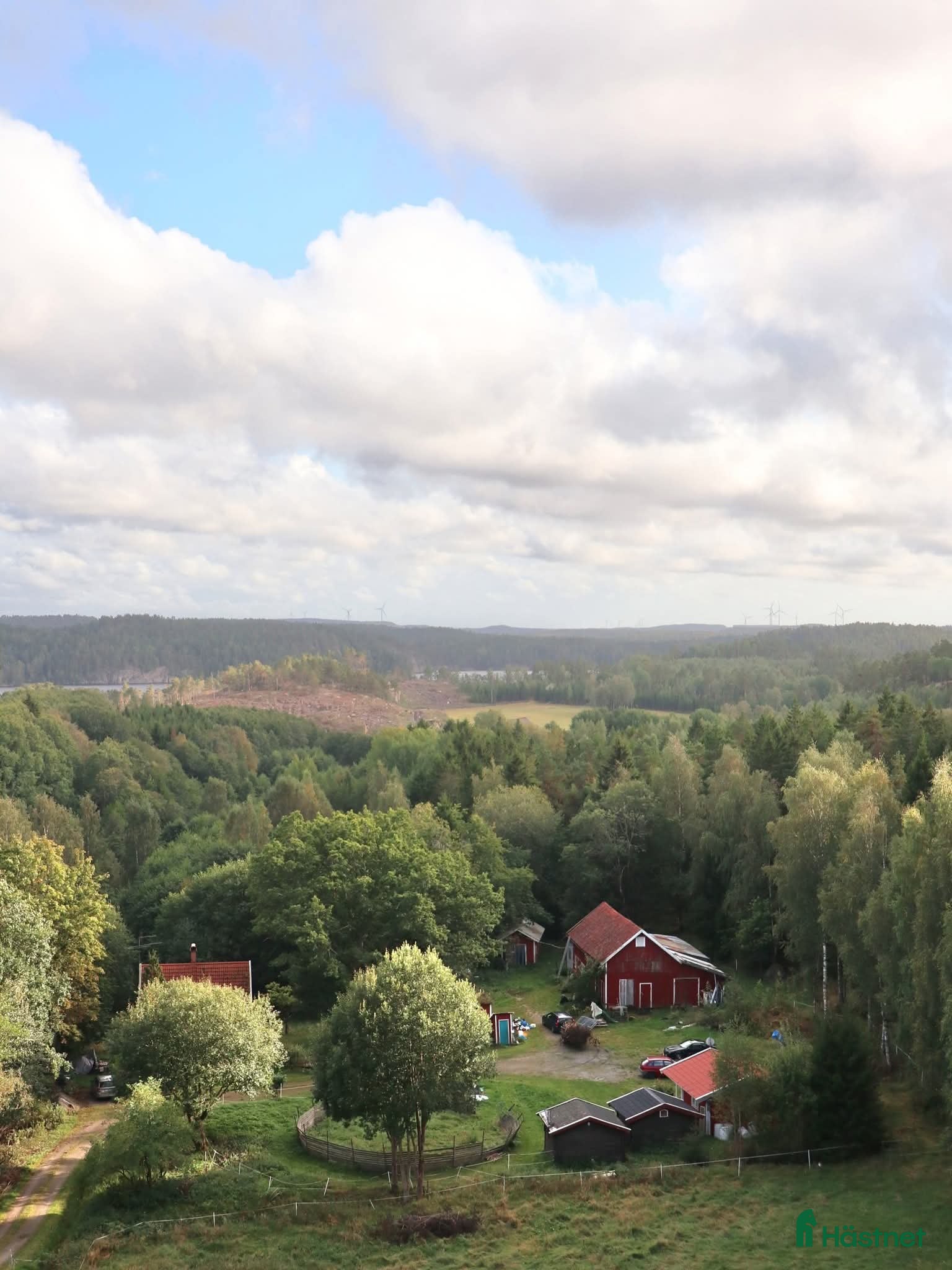  hästservice HEL-INACKORDERING FÖLSTO  i Strömstad - Annons 8