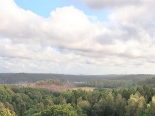 hästservice finnes: HEL-INACKORDERING FÖLSTO i Strömstad - Annons 1
