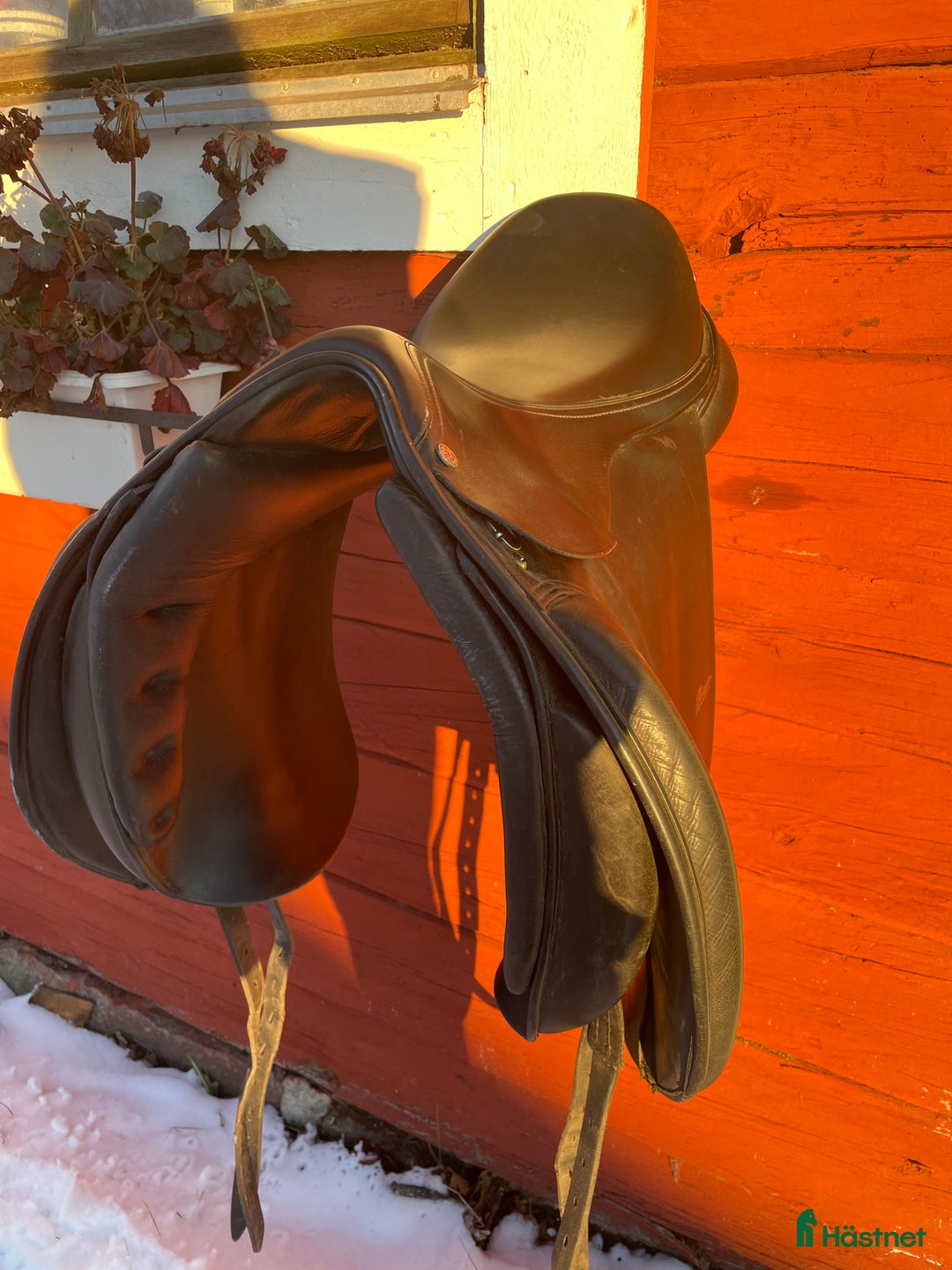 Sadlar hästutrustning till salu: Hrimnir Islandsadel i Norrhult - Annons 4