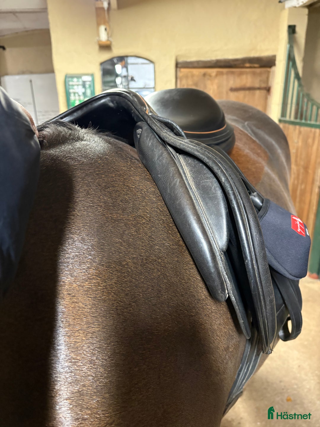 Sadlar hästutrustning till salu: Equipe expression  i Kristianstad - Annons 5