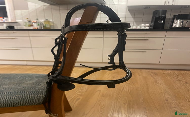 Träns hästutrustning till salu i Umeå - Annons 6