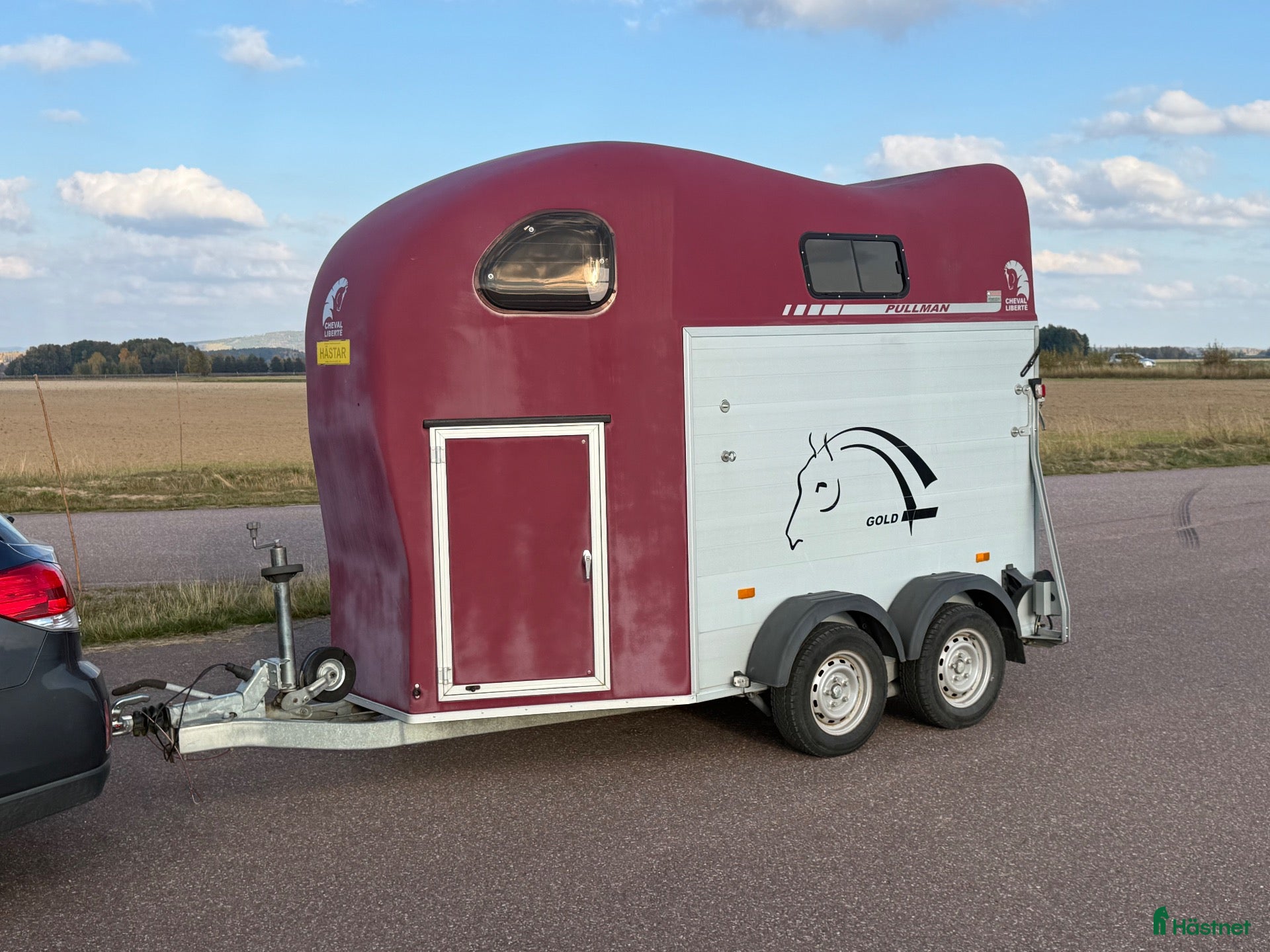 Hästtransporter  fordon & transport till salu: Cheval Gold2 -17 - Annons 11