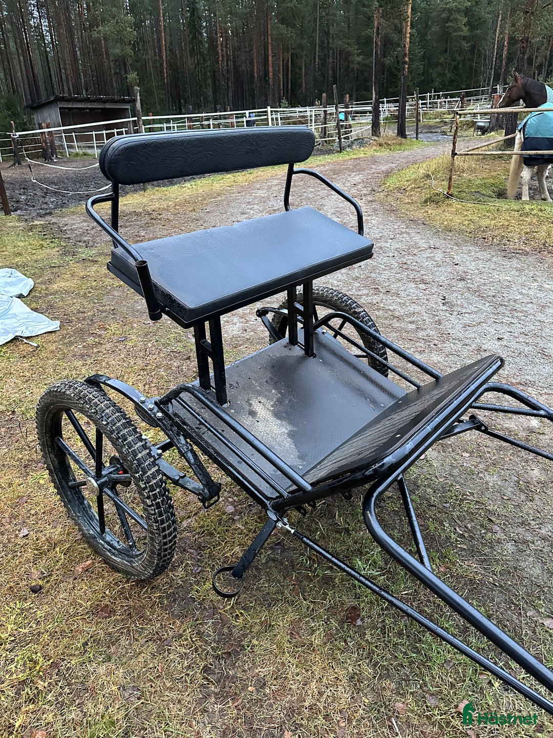 Körvagnar körning till salu: Drive out-vagn för stor häst i Lycksele - Annons 3