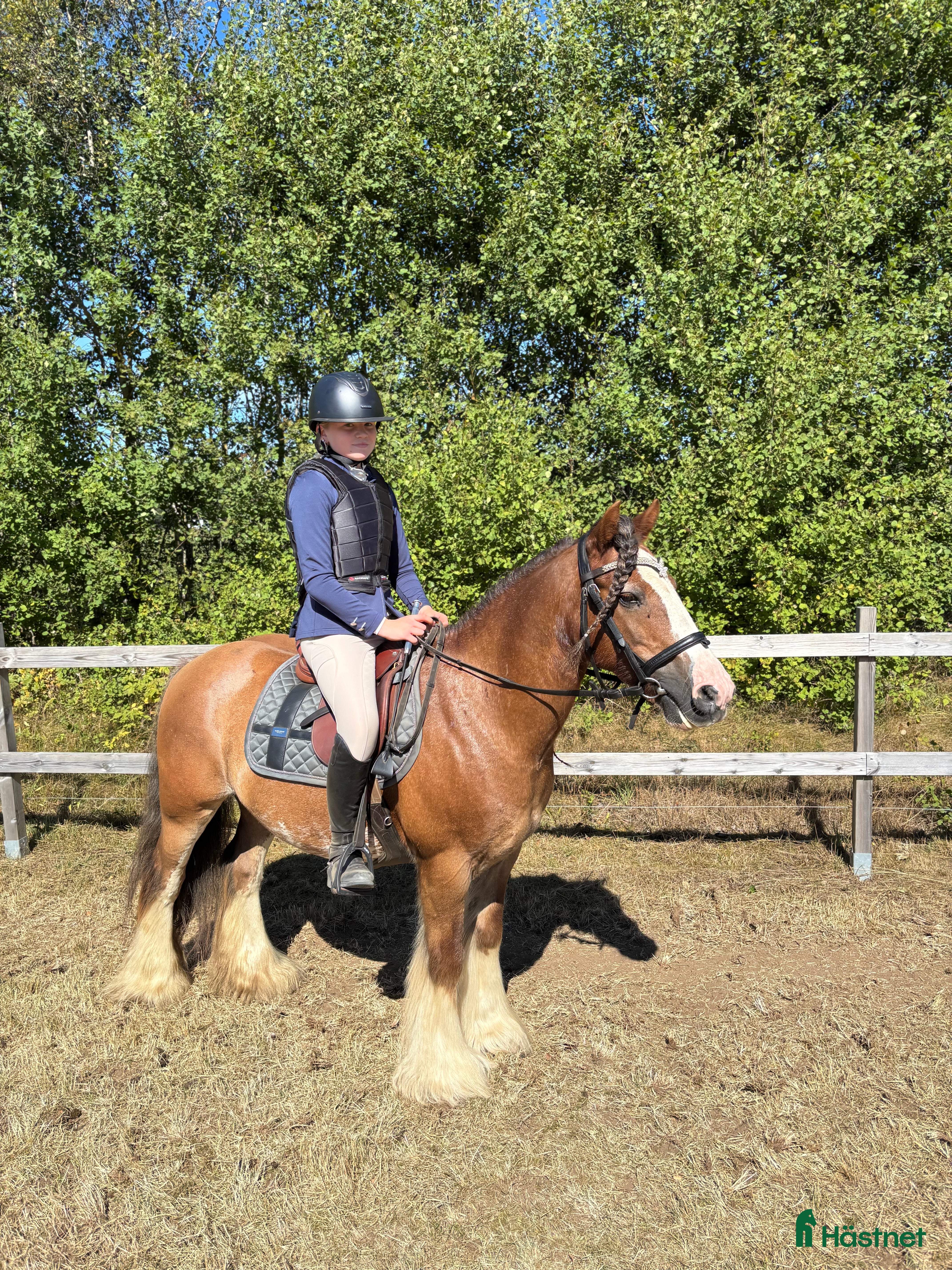  hästar Fräck tävlingsponny! i Vedum - Annons 5