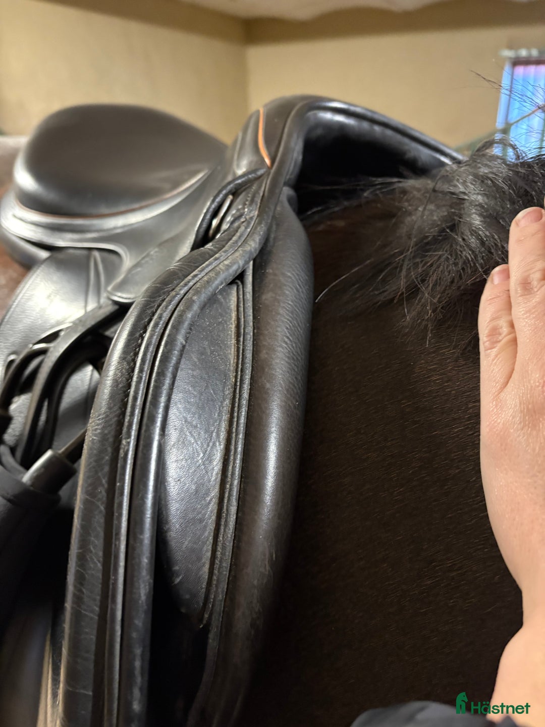 Sadlar hästutrustning till salu: Equipe expression  i Kristianstad - Annons 6