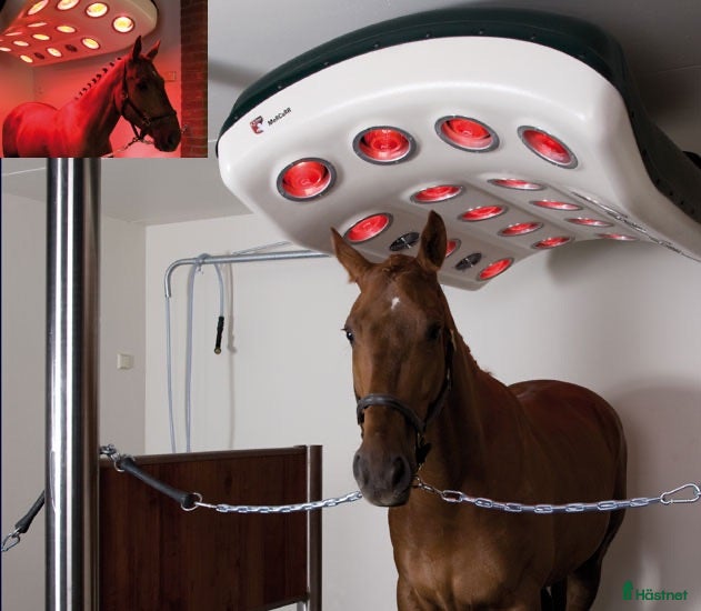 Hästinspirerad heminredning övrig utrustning till salu: Solarium - Annons 1