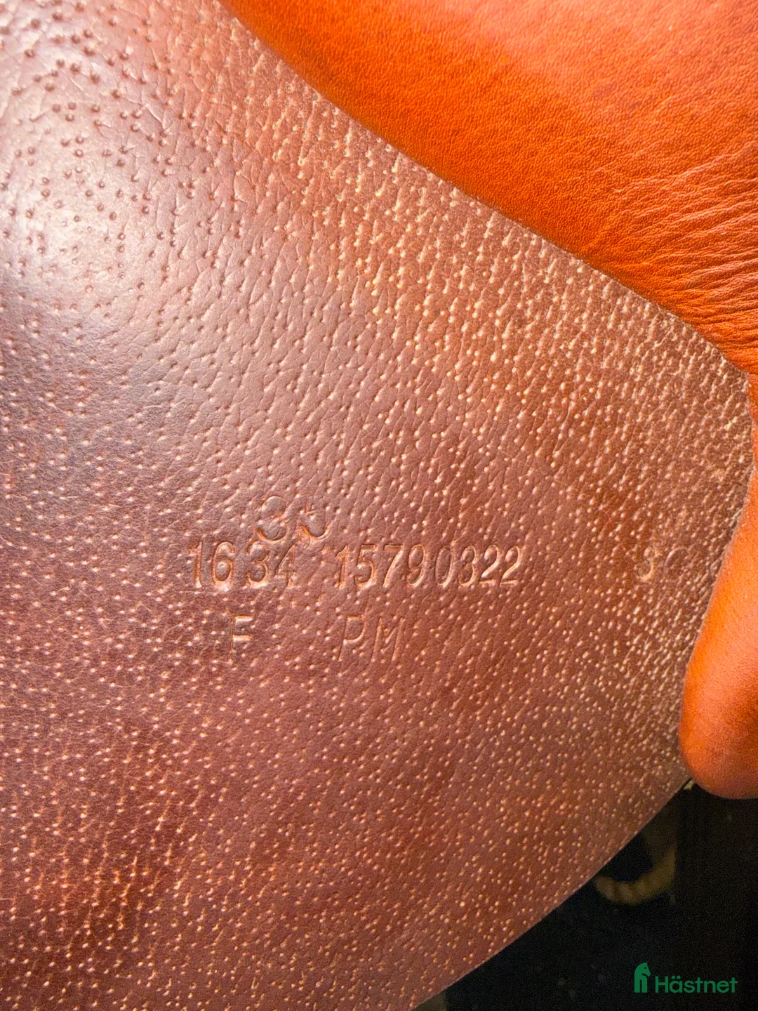 Sadlar hästutrustning till salu: Renaissance 16 tum - Annons 3