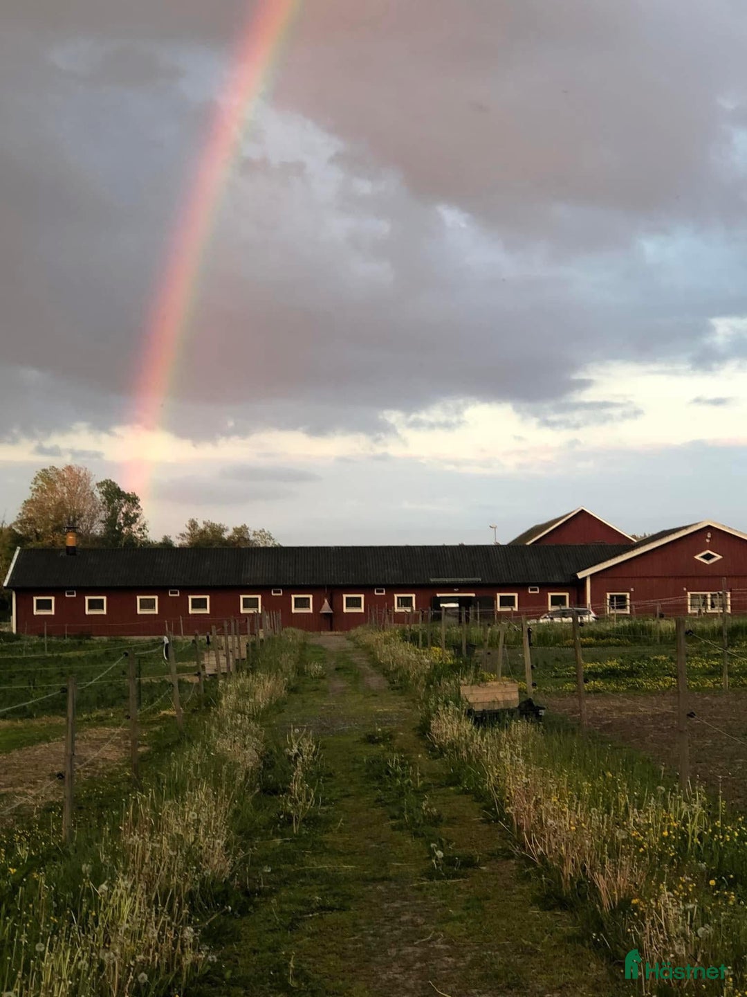  stallplats finnes: Plats för islandshäst mellan Sthlm o Nynäshamn i Ösmo - Annons 2