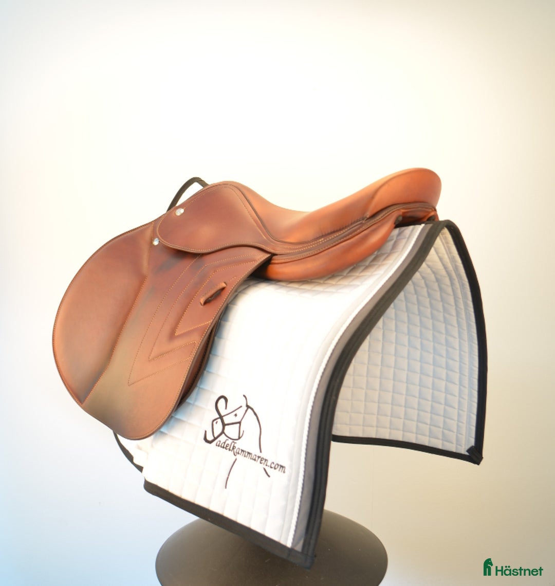 Sadlar hästutrustning till salu: Renaissance F2SD i Sparsör - Annons 2